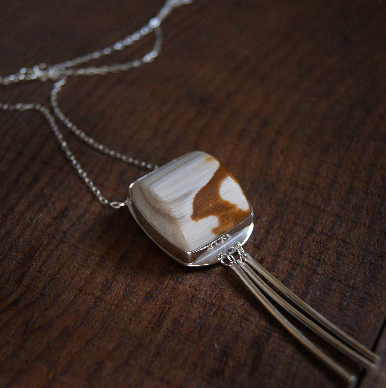 petrified wood necklace